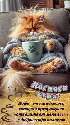 Открытка «С добрым утром»: Лёгкого утра! Кофе превращает утро в добро. Тэги: хорошего дня, кот, животное, пожелание…