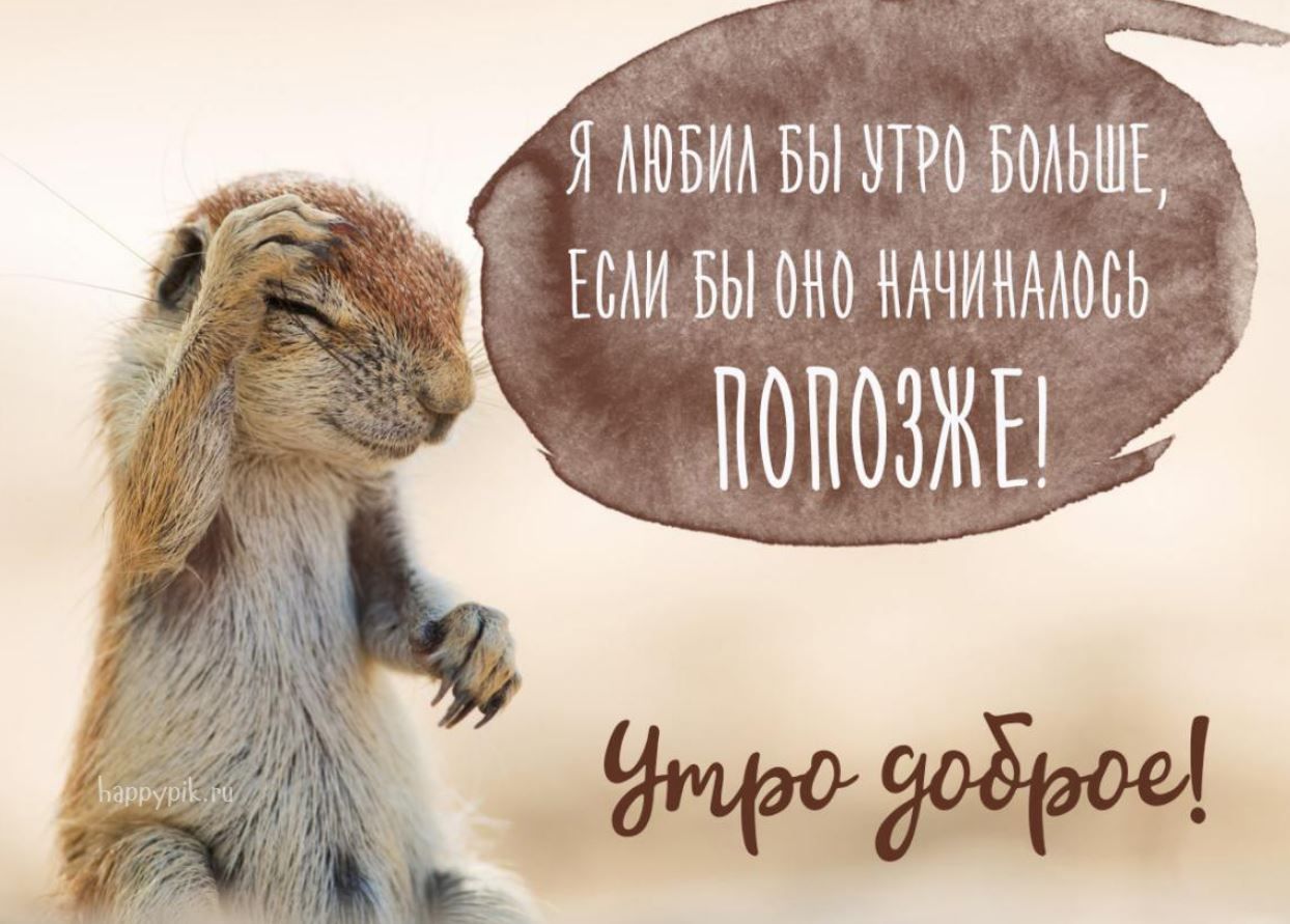 Открытка «С добрым утром»: С добрым утром! Хочу спать подольше!. Тэги: животное, пожелание, позитивная, отличное наст…