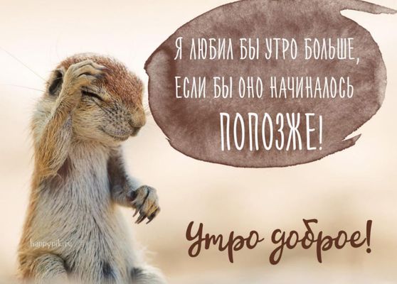 Открытка «С добрым утром»: С добрым утром! Хочу спать подольше!. Тэги: животное, пожелание, позитивная, отличное наст…
