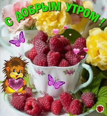 Открытка «С добрым утром»: С добрым утром! Малиновое утро и милый ежик. Тэги: хорошего дня, животное, пожелание…