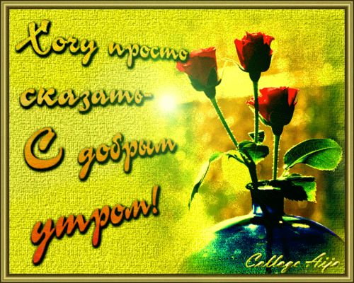 Открытка «С добрым утром»: Яркие розы для нежного доброго утра. Тэги: пожелание, позитивная, утро, красивая, цветок…