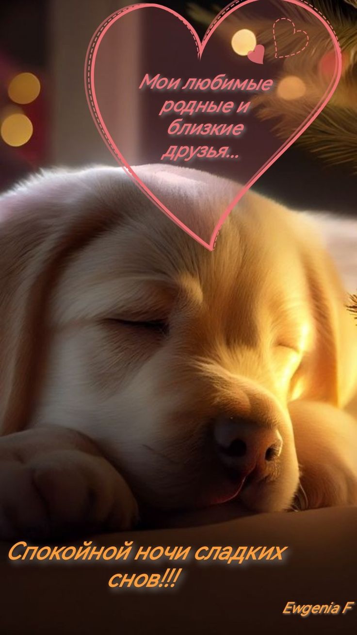Открытка «Спокойной ночи»: Спокойной ночи: «Нежный сон щенка с сердцем». Тэги: Спокойной ночи, с пожеланиями, Спокойн…