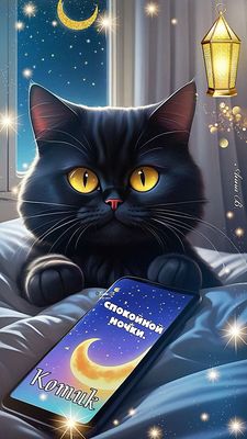 Открытка «Спокойной ночи»: Спокойной ночи: Милый черный кот с телефоном для Кеши. Тэги: кеша, Спокойной ночи, с пожел…