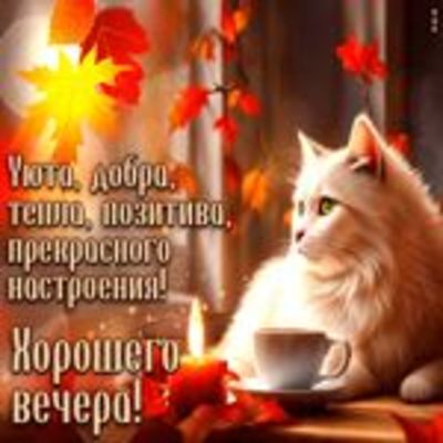 Открытка «Добрый вечер и пожелания»: Пожелание хорошего вечера с милым котом. Тэги: Добрый позитивный вечер, Доброго…