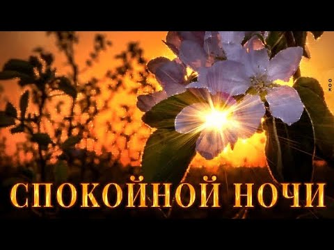 Открытка «Добрый вечер и пожелания»: Открытка «Спокойной ночи» с сияющим цветком. Тэги: Добрый вечер красивые, Добрый…