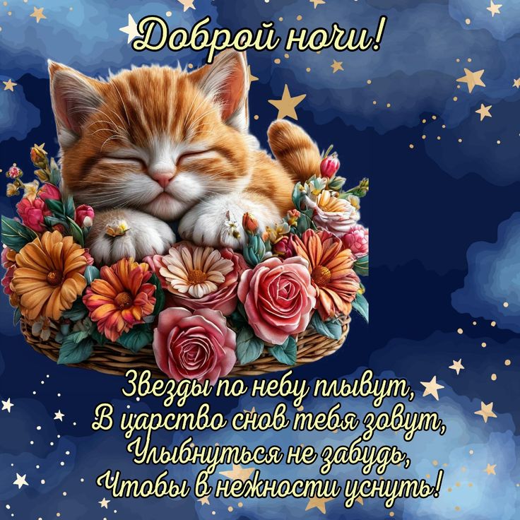 Открытка «Доброй ночи»: Доброй ночи: Милый рыжий котенок в цветах.