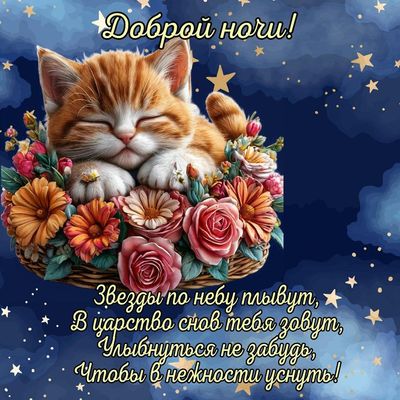 Открытка «Доброй ночи»: Доброй ночи: Милый рыжий котенок в цветах.