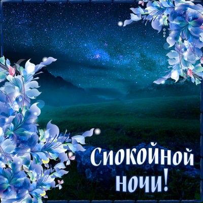 Открытка «Спокойной ночи»: Спокойной ночи: волшебная ночная открытка с цветами. Тэги: Спокойной ночи, красивые…