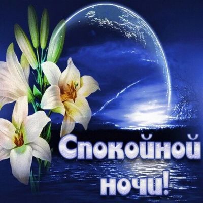 Открытка «Спокойной ночи»: Спокойной ночи: красивый ночной пейзаж с луной. Тэги: Спокойной ночи, красивые, Спокойной…