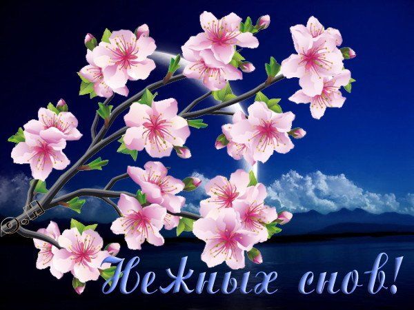 Открытка «Доброй ночи»: Открытка «Нежных снов» с ночным пейзажем.