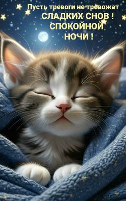 Открытка «Спокойной ночи»: Спокойной ночи: милый спящий кот под луной. Тэги: пожелание, кот, мультяшка, милый, звезда…