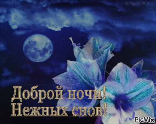 Открытка «Доброй ночи»: Доброй ночи: Нежных снов! Лилии и полная луна.