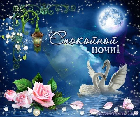 Открытка «Спокойной ночи»: Спокойной ночи: романтическая открытка с лебедями. Тэги: Спокойной ночи, красивые, Спокойн…