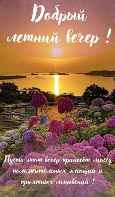 Открытка «Добрый вечер и пожелания»: Добрый летний вечер: Открытка с закатом и цветами. Тэги: Добрый вечер красивые…