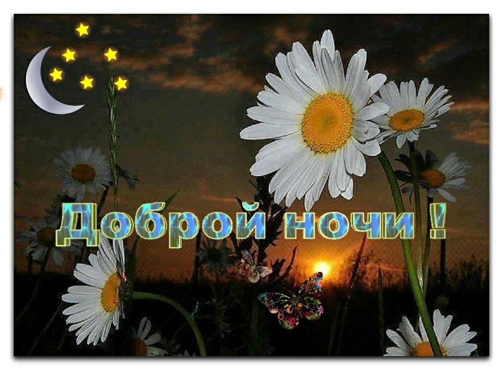 Открытка «Спокойной ночи»: Милая открытка «Доброй ночи» с ромашками и луной. Тэги: Добрый вечер и пожелания, Добрый в…