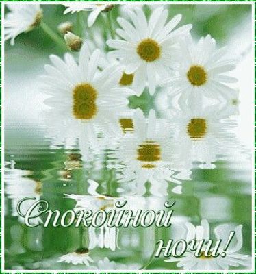 Открытка «Спокойной ночи»: Спокойной ночи: Нежные белые цветы на воде. Тэги: Спокойной ночи, красивые, Спокойной ночи…