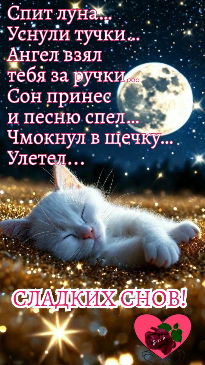 Открытка «Доброй ночи»: Доброй ночи: Спящий белый кот и лунная ночь. Тэги: Спокойной ночи, Спокойной ночи, с пожелани…