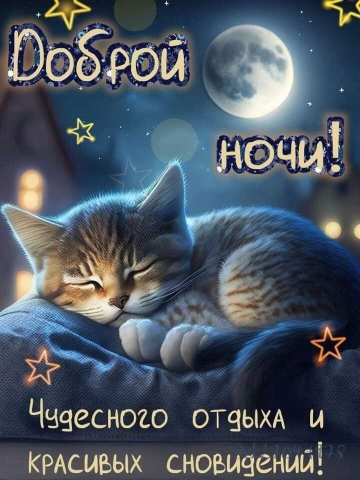 Открытка «Доброй ночи»: Доброй ночи: «Милый котенок и красивые сны».
