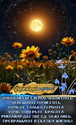 Открытка «Спокойной ночи»: Спокойной ночи: Лунный свет и цветы в поле. Тэги: Спокойной ночи, красивые, Спокойной ночи…