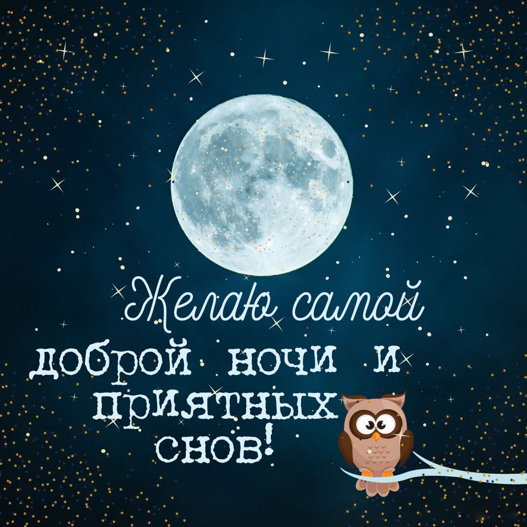 Открытка «Доброй ночи»: Доброй ночи: «Открытка с милой совой».