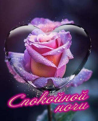 Открытка «Спокойной ночи»: Спокойной ночи: Нежная роза в прозрачном сердце. Тэги: Спокойной ночи, красивые, Спокойной…