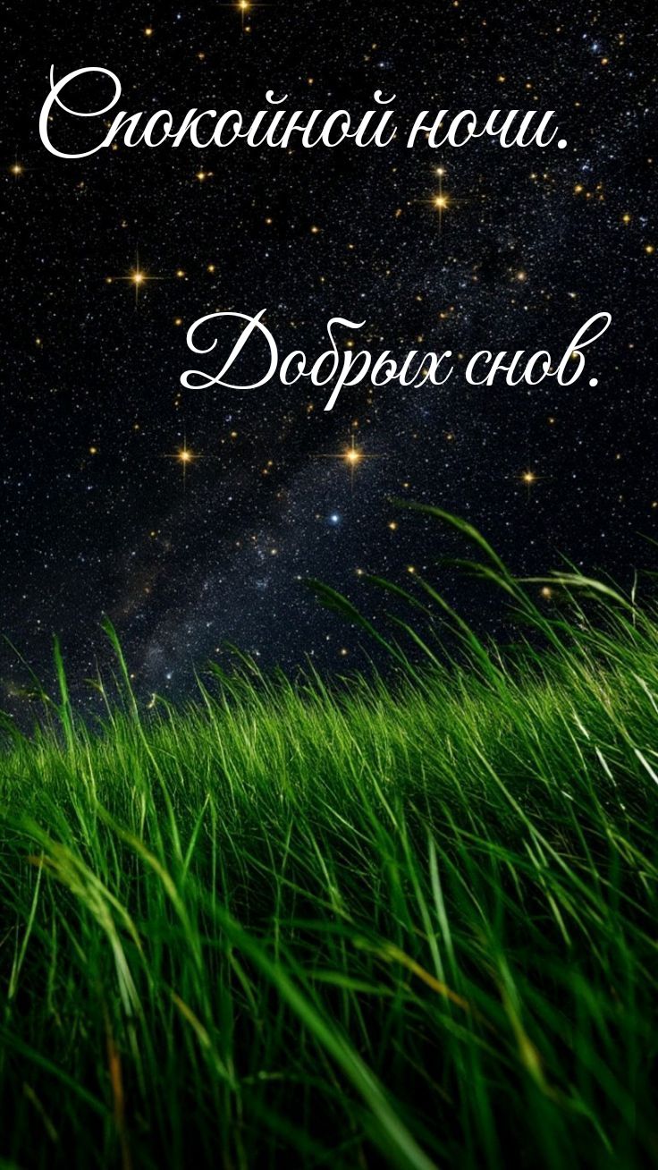 Открытка «Спокойной ночи»: Спокойной ночи: открытка со звездным небом и травой. Тэги: ночной, Спокойной ночи, красивые…