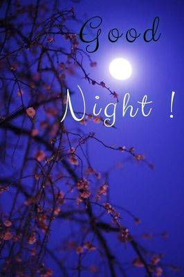 Открытка «Доброй ночи»: Доброй ночи: Лунный свет и цветущие ветви.