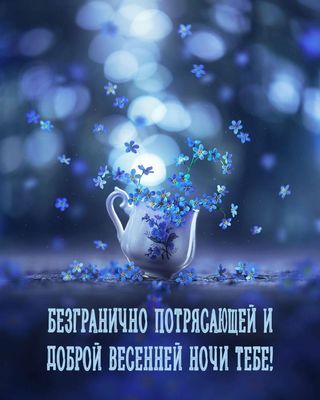 Открытка «Доброй ночи»: Доброй ночи: Нежная открытка с весенними цветами.
