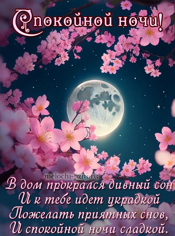 Открытка «Спокойной ночи»: Спокойной ночи: милая открытка с луной и цветами. Тэги: Спокойной ночи, красивые, Спокойно…