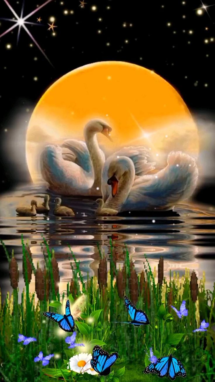 Открытка «Доброй ночи»: Доброй ночи: Романтичный танец лебедей в лучах луны.