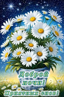 Открытка «Доброй ночи»: Доброй ночи и приятных снов! Открытка с ромашками.