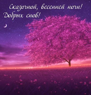Открытка «Доброй ночи»: Доброй ночи: Сказочное весеннее дерево и луна.