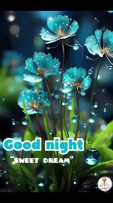 Открытка «Доброй ночи»: Доброй ночи: Волшебные цветы и сладкий сон.