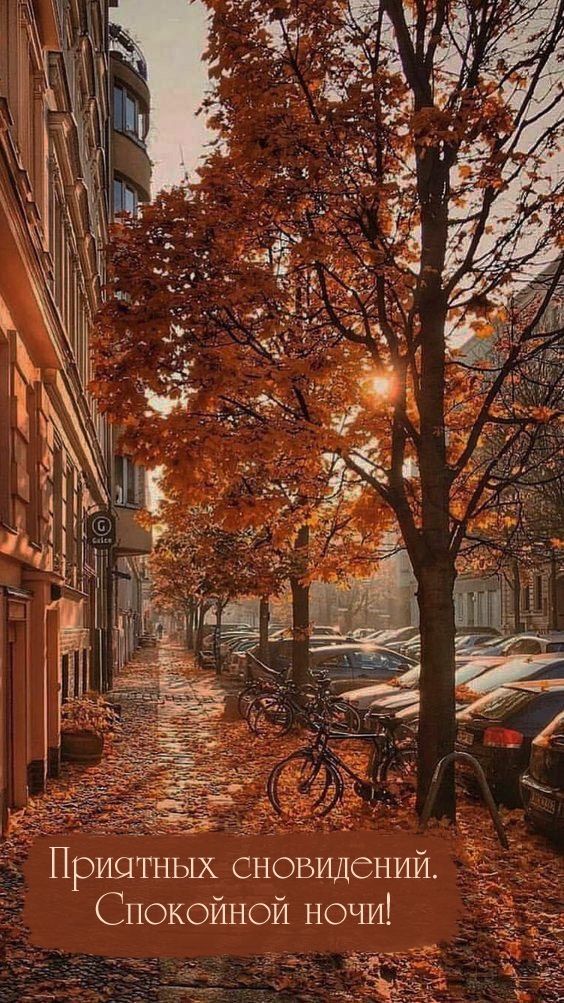 Открытка «Спокойной ночи»: Спокойной ночи: Уютная осенняя улочка с велосипедом. Тэги: Спокойной ночи, с пожеланиями…