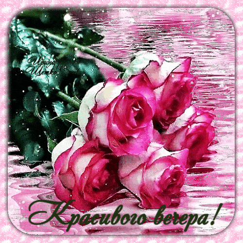 Открытка «Пожелание»: Добрый вечер: Красивые розы на воде. Тэги: настроение, рисунок, красочный, красивый, нежный…