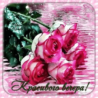 Открытка «Пожелание»: Добрый вечер: Красивые розы на воде. Тэги: настроение, рисунок, красочный, красивый, нежный…