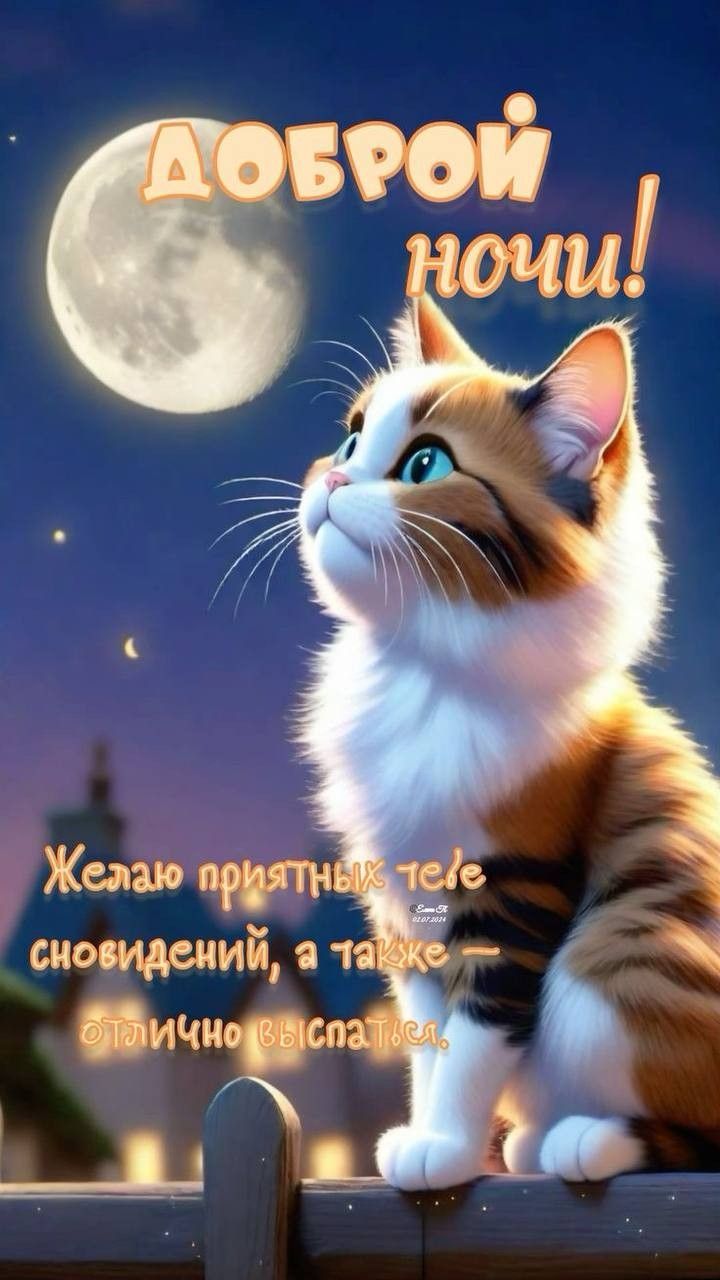 Открытка «Добрый вечер и пожелания»: Доброй ночи: красивый кот смотрит на луну. Тэги: Добрый вечер, с котиками…