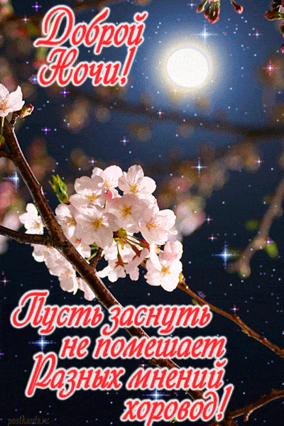 Открытка «Доброй ночи»: Доброй ночи: Красивое пожелание с цветущей веткой. Тэги: Спокойной ночи, Спокойной ночи…