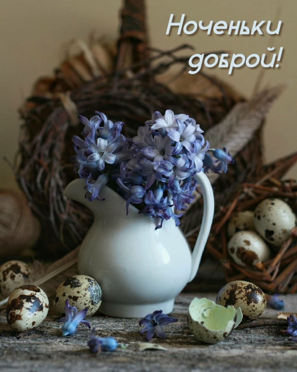 Открытка «Доброй ночи»: Ноченьки доброй! Уютная открытка с весенним гнездом. Тэги: перепелиный