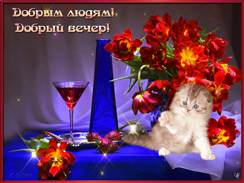 Открытка «Пожелание»: Красивая открытка «Добрый вечер» с котенком и цветами. Тэги: настроение, кот, праздник, красивый…