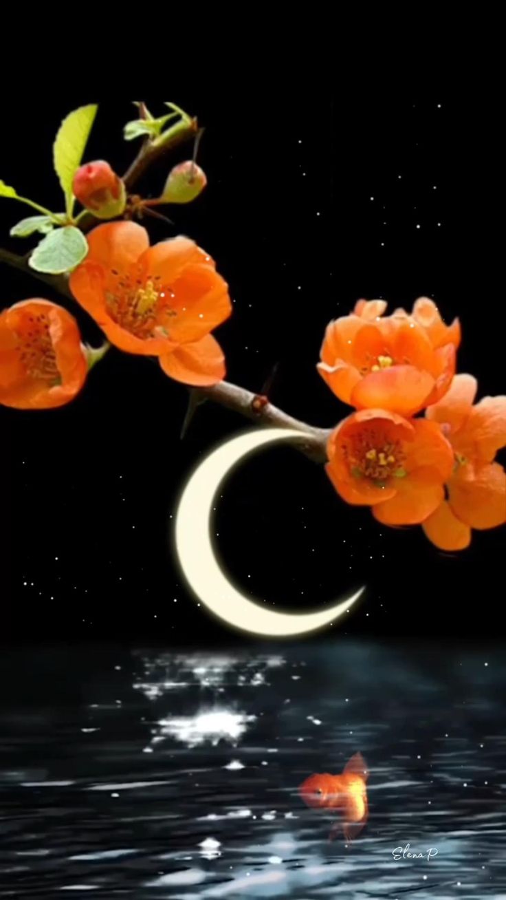 Открытка «Доброй ночи»: Красивое пожелание доброй ночи с луной и цветами. Тэги: пожелание, красивый, нежный, цветок…