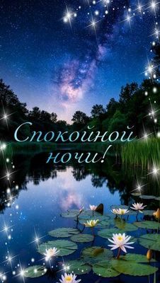 Открытка «Доброй ночи»: Спокойной ночи: волшебный ночной пейзаж со звездами.