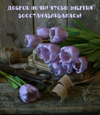 Открытка «Доброй ночи»: Доброй ночи: Букет нежных тюльпанов с пожеланием. Тэги: старинный