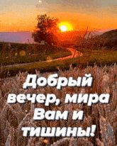 Открытка «Добрый вечер и пожелания»: Добрый вечер: пожелание мира и тишины. Тэги: Добрый вечер красивые, Доброго летн…