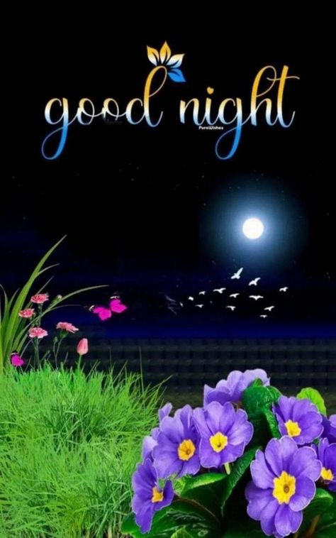 Открытка «Доброй ночи»: Красивая открытка «Доброй ночи» с цветами.