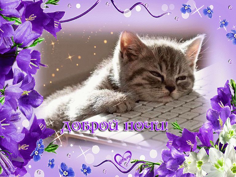 Открытка «Доброй ночи»: Доброй ночи: милый котенок с цветами.