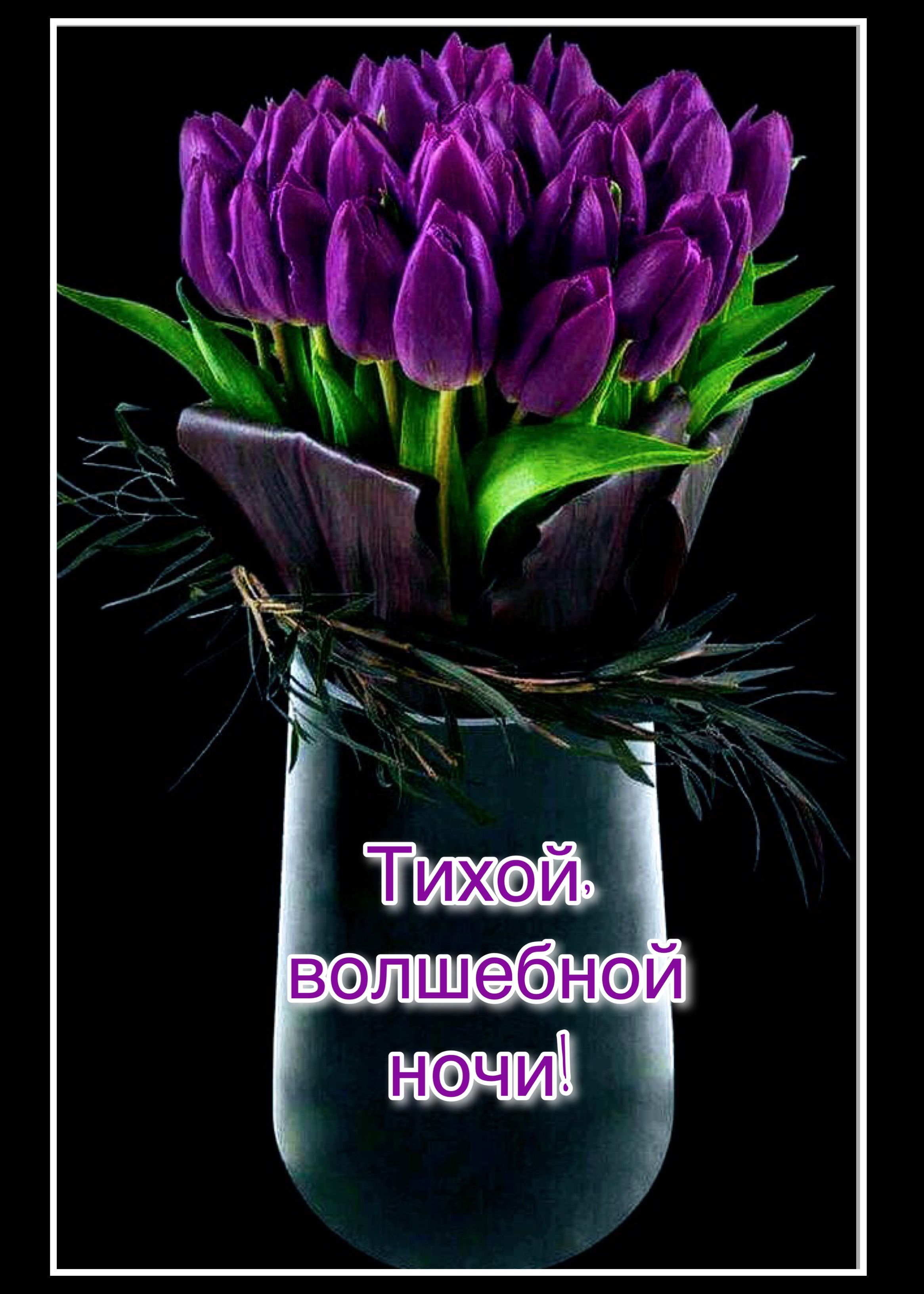 Открытка «Доброй ночи»: Доброй ночи: «Волшебный букет из фиолетовых тюльпанов». Тэги: Спокойной ночи, тихий, Добрый в…
