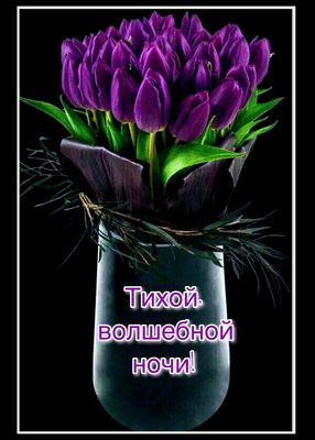 Открытка «Доброй ночи»: Доброй ночи: «Волшебный букет из фиолетовых тюльпанов». Тэги: Спокойной ночи, тихий, Добрый в…