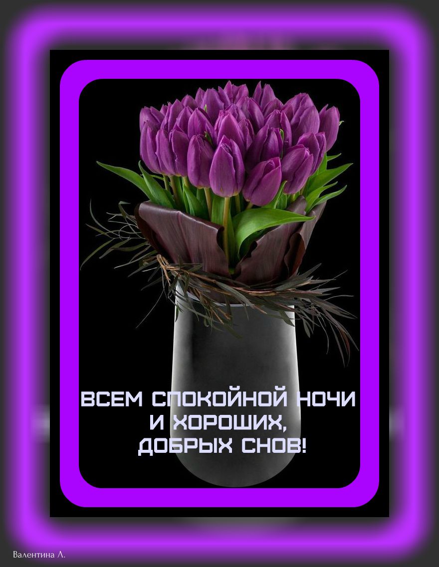 Открытка «Доброй ночи»: Доброй ночи: фиолетовые тюльпаны и пожелание снов. Тэги: Спокойной ночи, Спокойной ночи…
