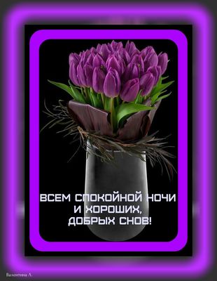 Открытка «Доброй ночи»: Доброй ночи: фиолетовые тюльпаны и пожелание снов. Тэги: Спокойной ночи, Спокойной ночи…